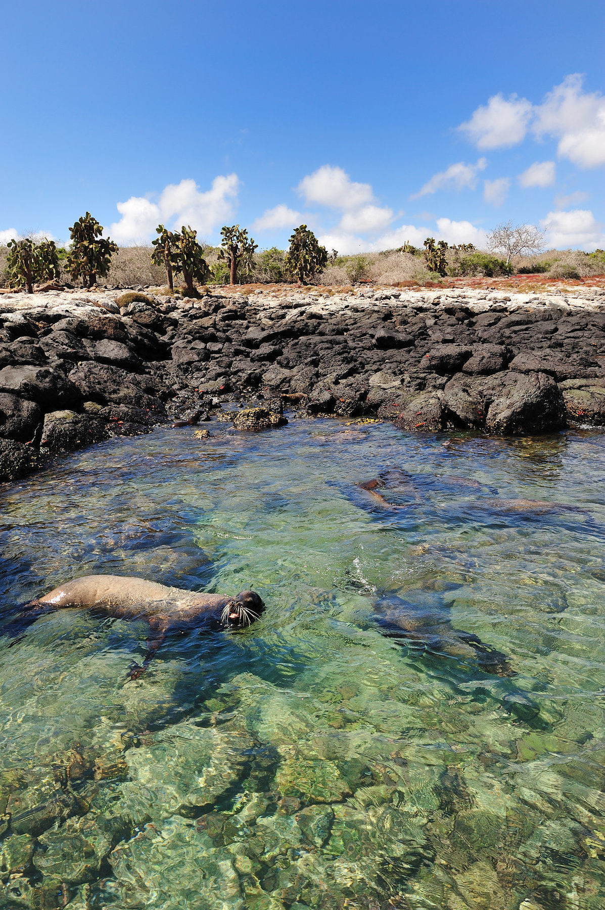 Pikaia Lodge Santa Cruz Island Ngoại thất bức ảnh