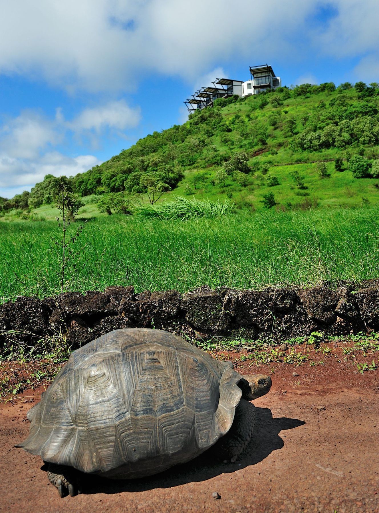 Pikaia Lodge Santa Cruz Island Ngoại thất bức ảnh